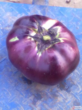 農產品銷售與農作物種子經營的融合發展策略